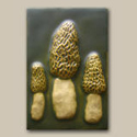 Morels-MS106